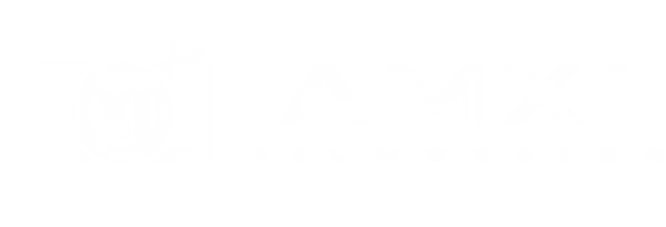 Logo AMXI
